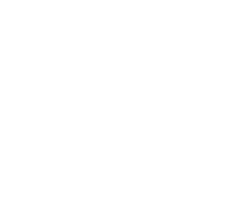 Logo undef